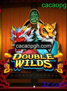 Explorando o Fascinante Mundo do Jogo DoubleWilds