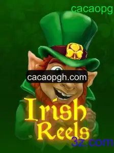 Descubra o Excitante Mundo de IrishReels: Introdução e Regras